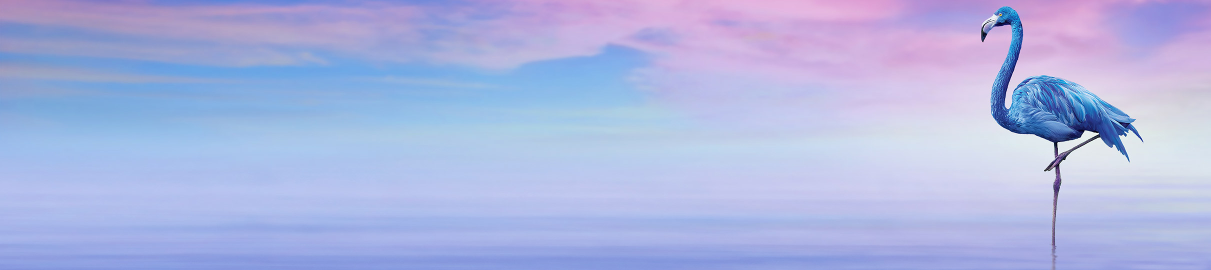 Xifaxan Medicare Copay Assistance Xifaxan Medicare Copay Assistance